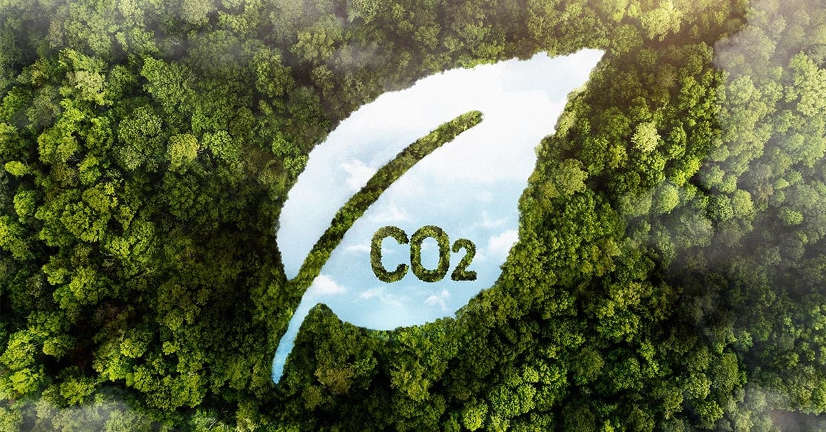 Dutch-based Proba bag funding to accelerate decarbonisation with carbon certificates
