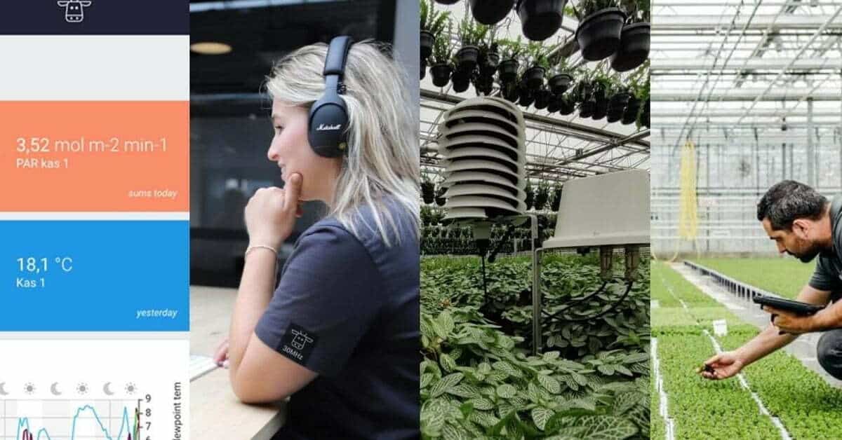 Amsterdam-based scaleup 30MHz bags €6.5M for its data platform for the agricultural sector