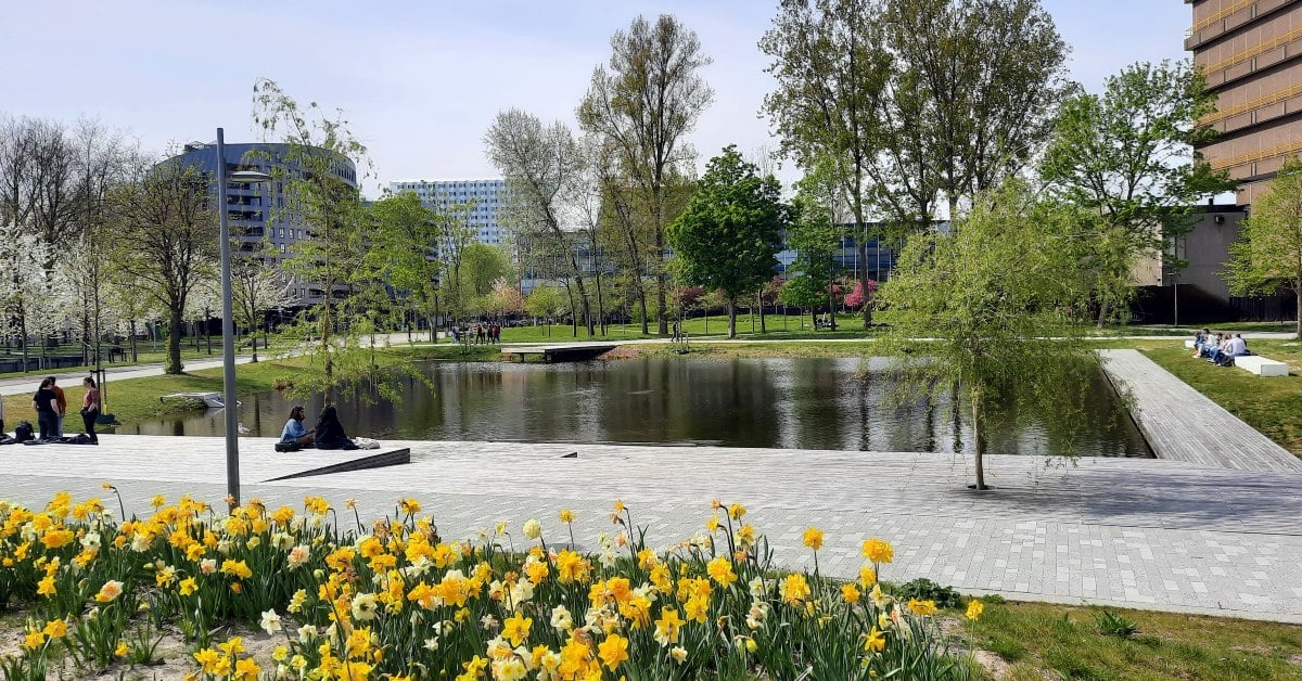 Dutch public university TU Delft to invest €100M to make its campus more sustainable