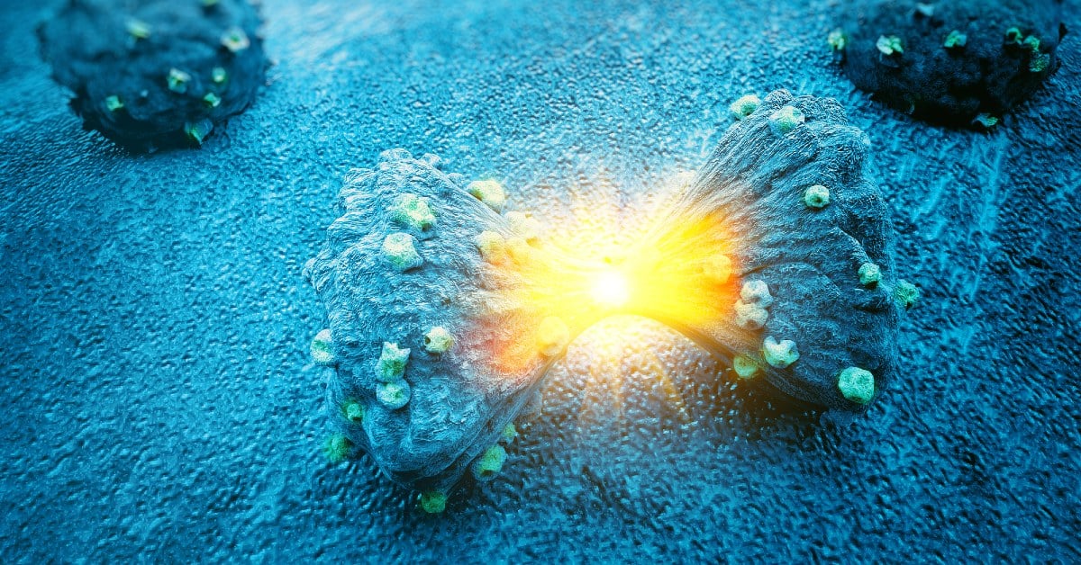 Dutch startup OncoLize secures €1.5M for treating rare, deadly tumours ‘from the inside’
