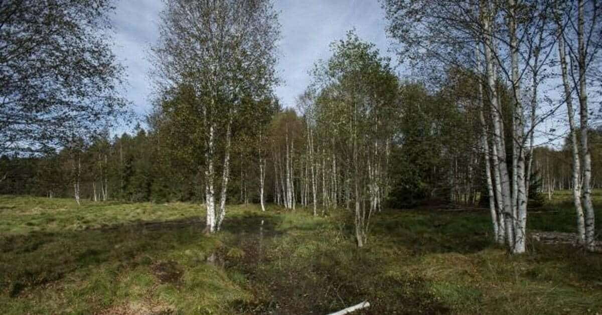 EU invests €110M+ to give life to environmental and climate projects in Netherlands and 10 other EU countries