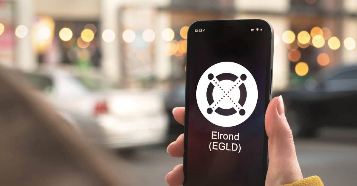 Investment fund Skynet EGLD Capital raises €37.13M to support the development of Elrond ecosystem