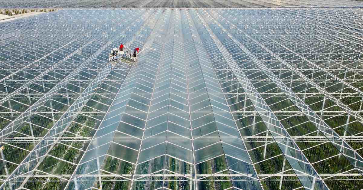 Dutch-based PHYSEE spin-off FOTONIQ raises funding to make high-tech greenhouses greener 