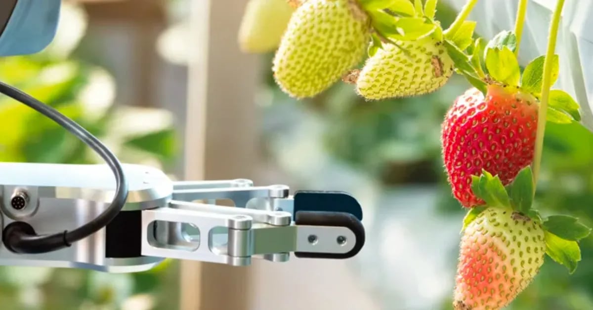 Dutch-based Future Food Fund announces first close of FFF II fund at €20M: Know more
