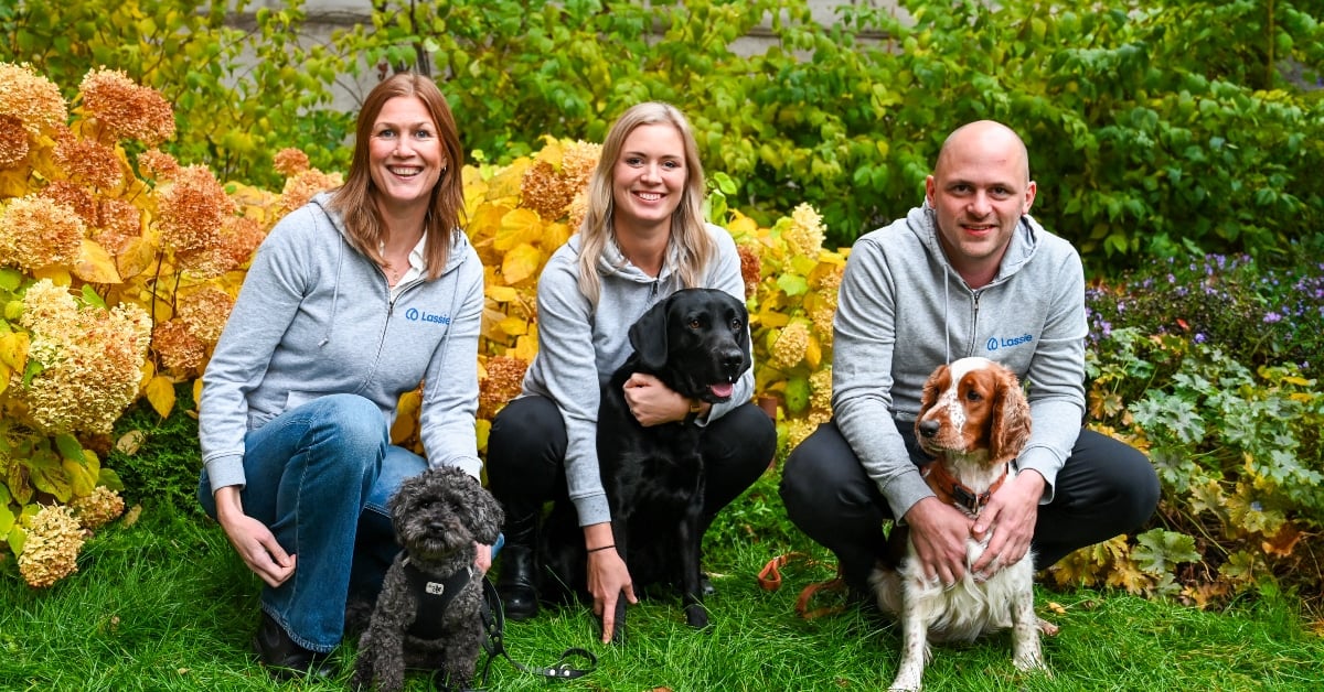 Stockholm-based Lassie ropes in €23M to provide bespoke insurance products and coaching for cat and dog owners