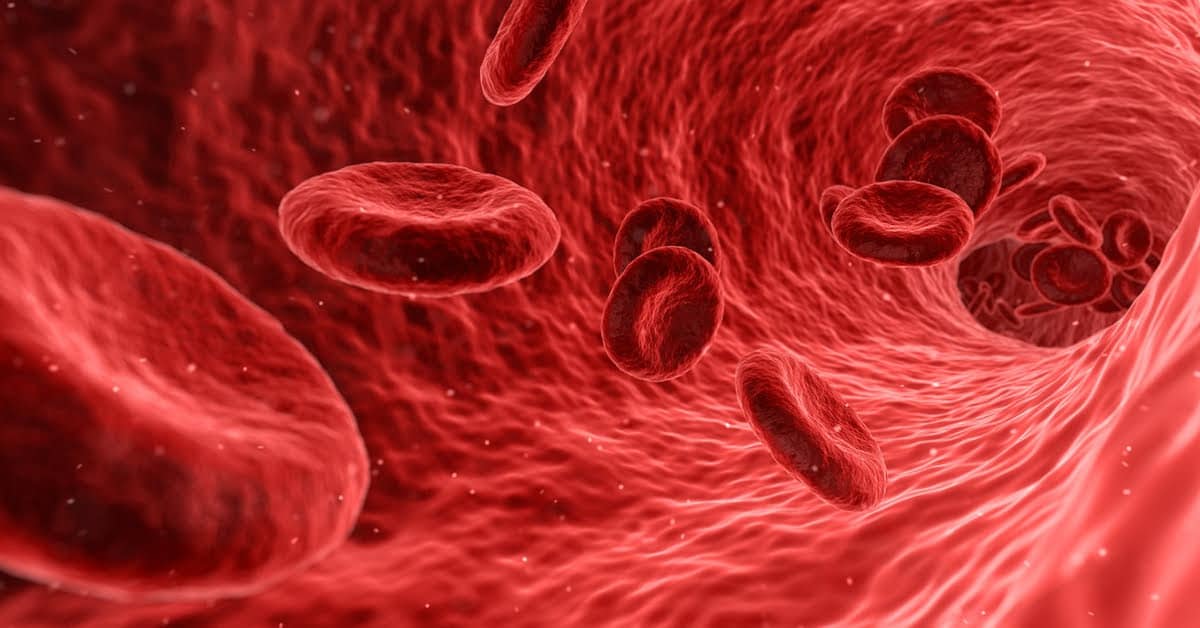 Amsterdam-based medtech startup Sanguis.ai receives MIT funding: Know more here 