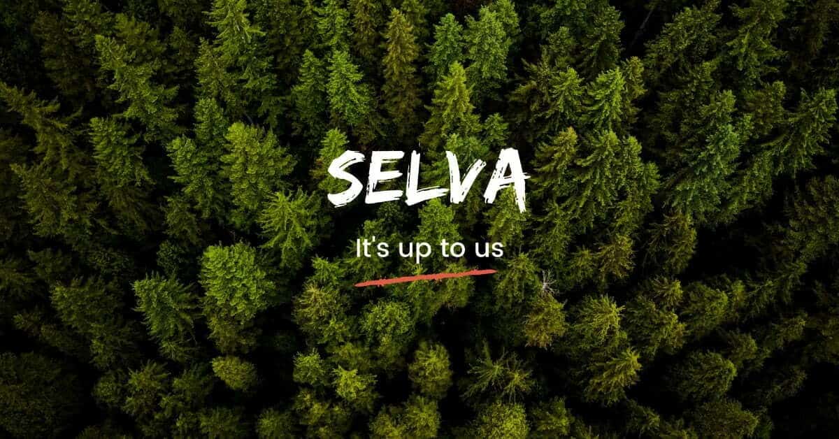 Sustainable startup Selva shuts shop: CEO says 'good intention isn't enough to build a sustainable company'