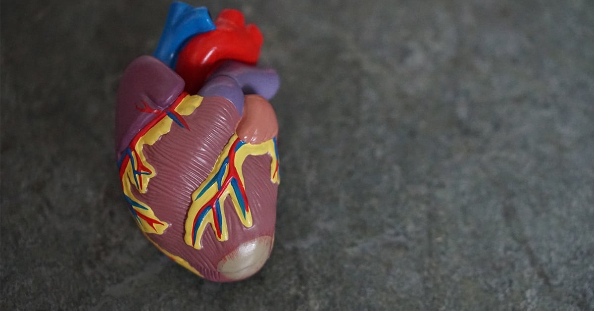 France-based Gradient Denervation Technologies bag €14M to develop novel pulmonary hypertension therapy