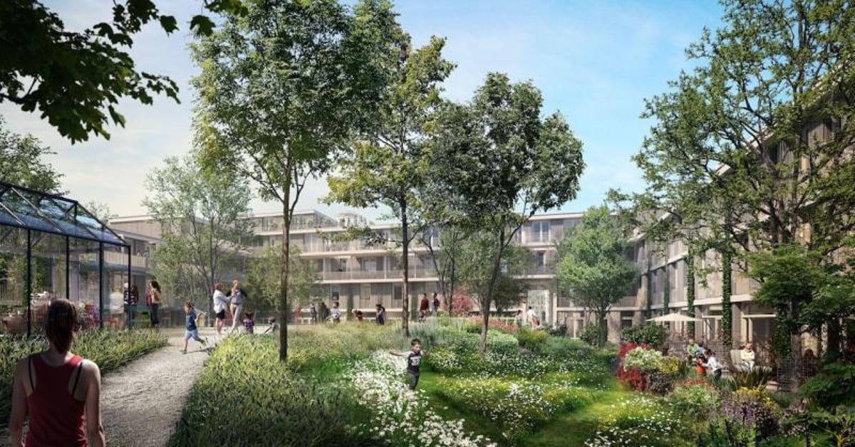 Amsterdam’s Vesteda bags €150M loan from EIB to make existing homes sustainable