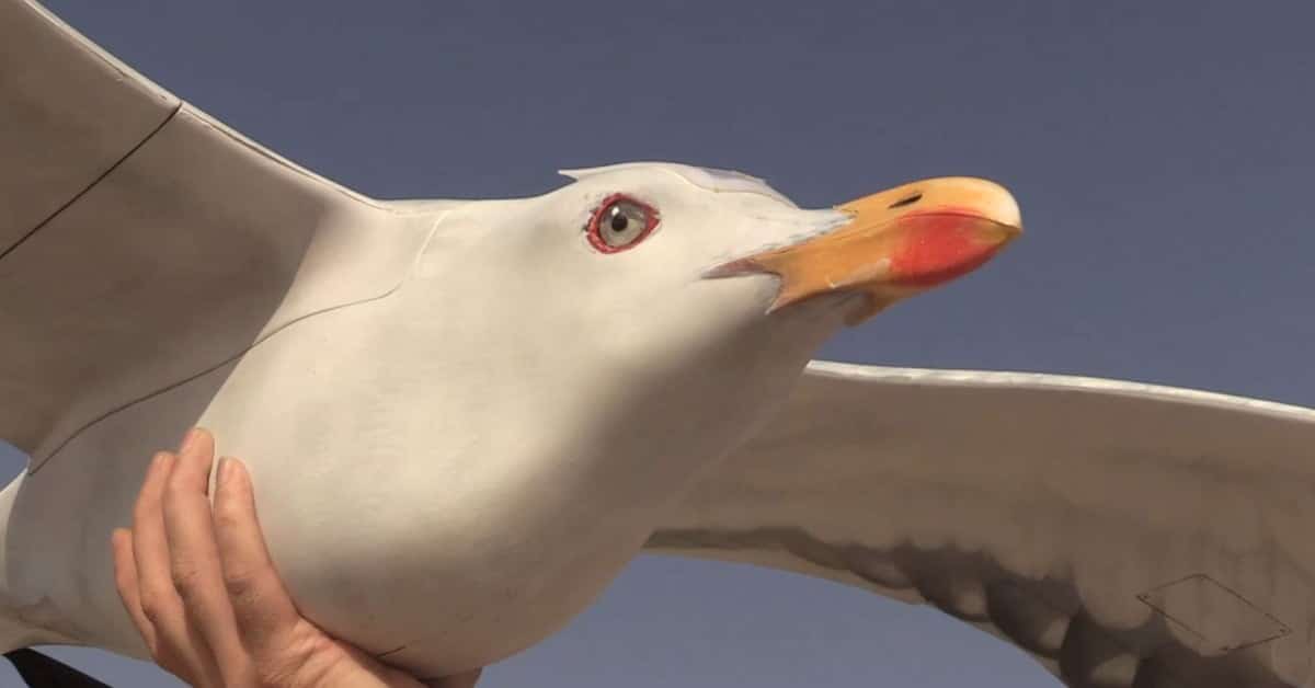 Tech startups weekly: Real bird-like drone, smart femtech bracelet, and more funding for European companies