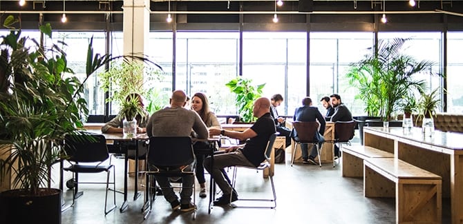 Seed a green idea, grow a business; apply for world’s first floricultural incubator