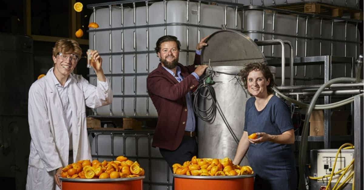 Dutch-based startups that raised funding in August 2024; 5 of them are hiring right now