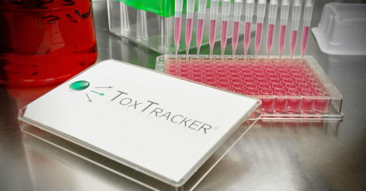 Dutch biotech startup Toxys that develops animal-free safety tests secures €2M funding