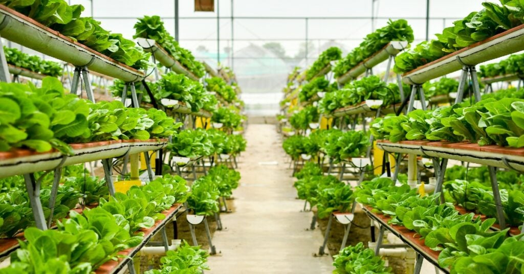 vertical farming