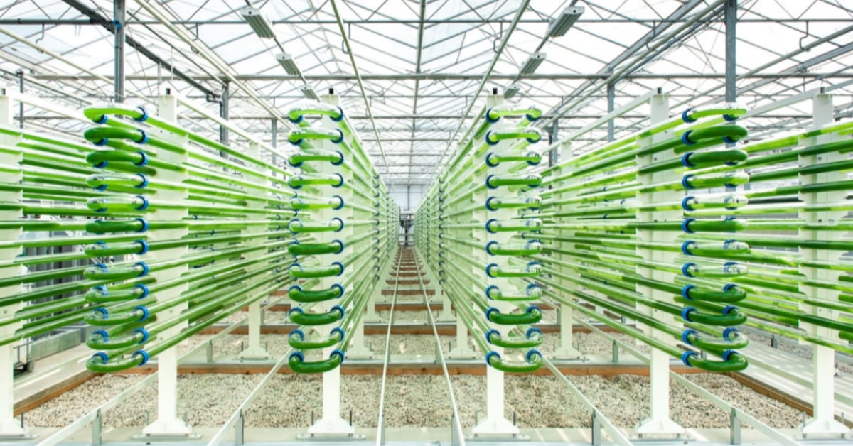 Dutch-based Lgem announces share issuance: ROM InWest becomes new shareholder, Navus Ventures increases investment