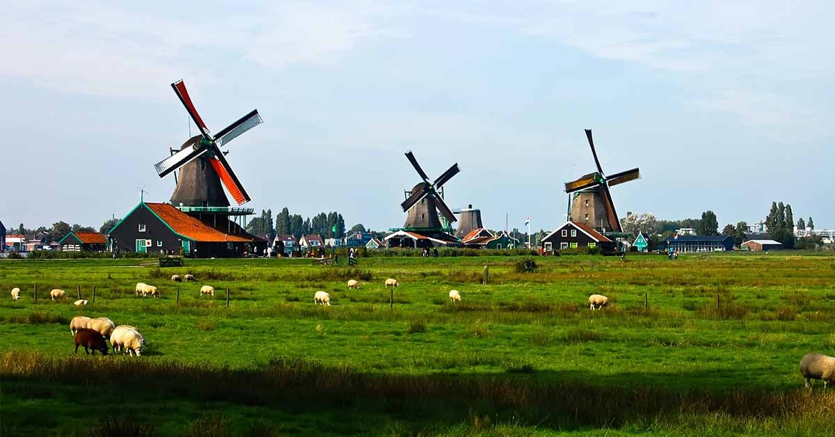 Top Dutch agritech startups to watch in 2024; 5 of them are currently hiring