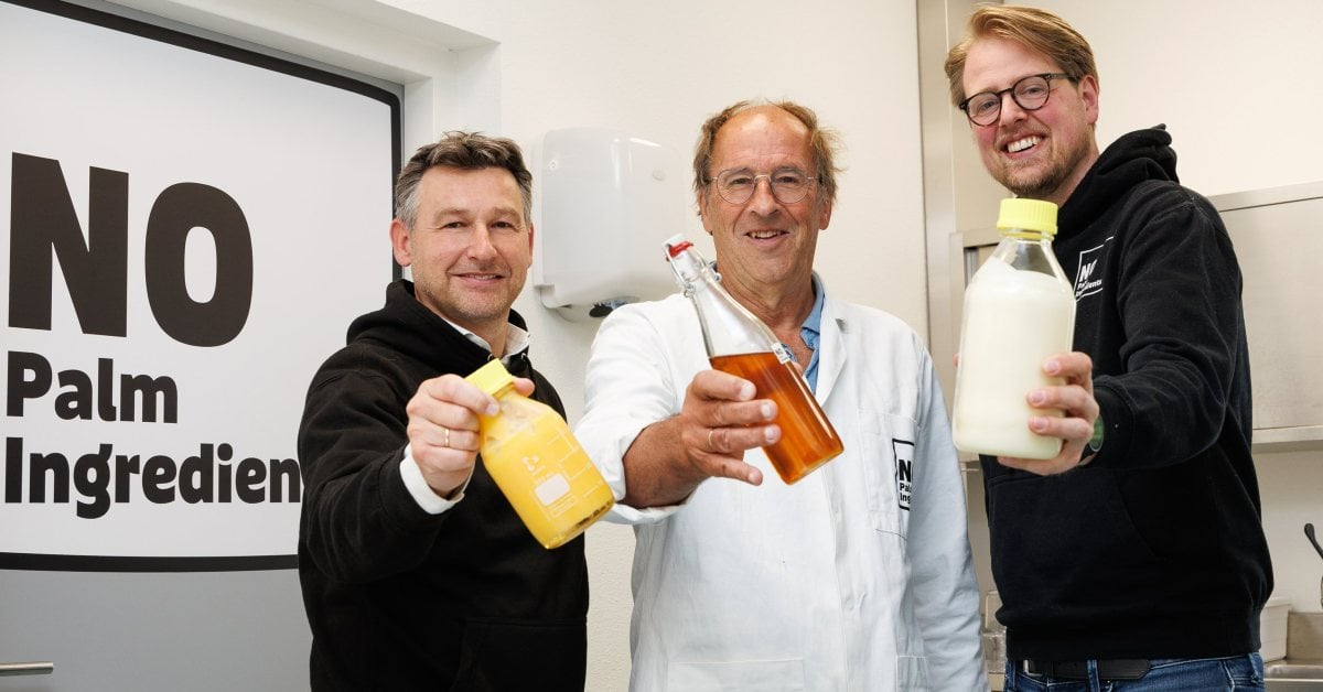 Dutch startup NoPalm Ingredients bags €5M to accelerate delivery of sustainable palm oil alternatives