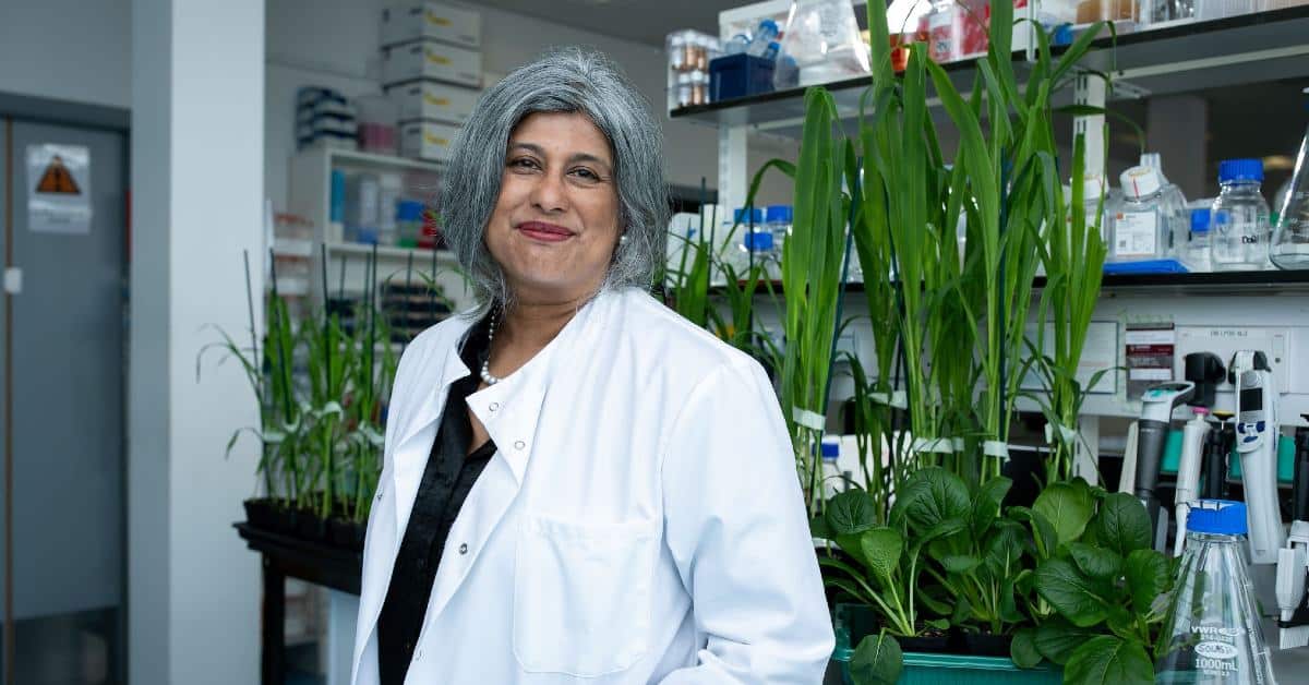 Scotland-based SOLASTA Bio bags €12.6M to develop chemical-free bioinsecticides that are safe for pollinators