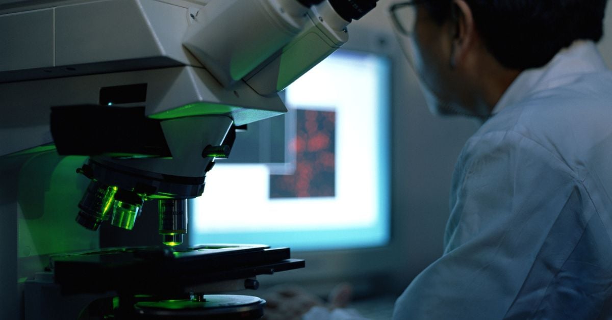 National Growth Fund invests €196.4M in Amsterdam’s Biotech Booster programme to boost Dutch biotech valorisation