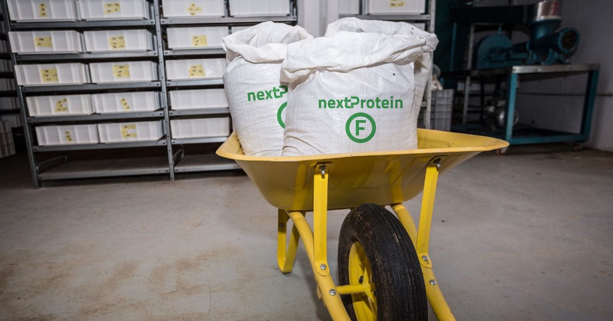 Paris-based nextProtein raises €18M to make insect-based ingredients mainstream and affordable