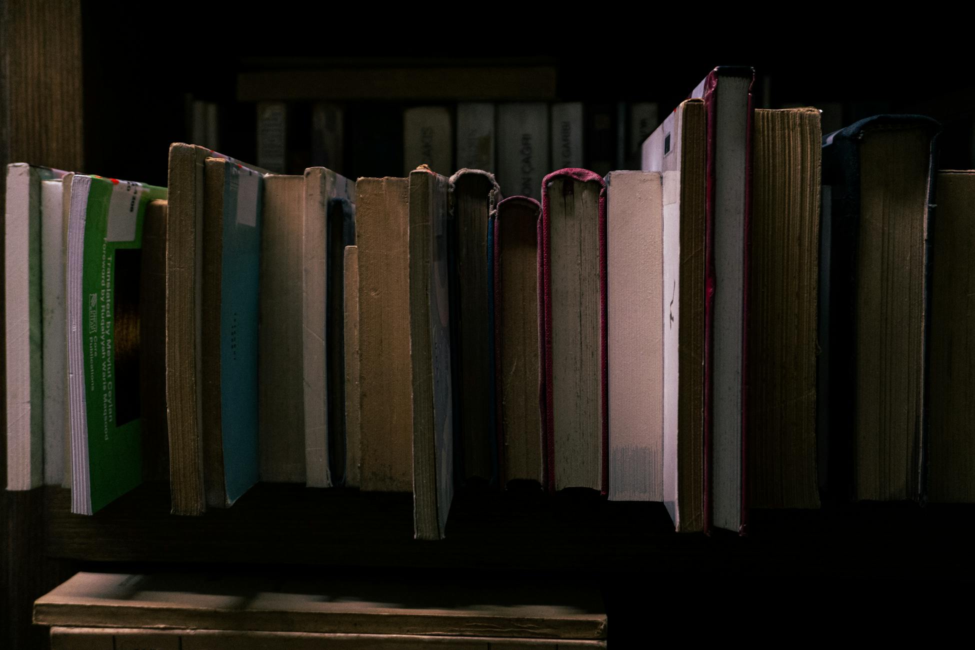 The Epstein Library holds 3.5 million items — and victims may be forgotten