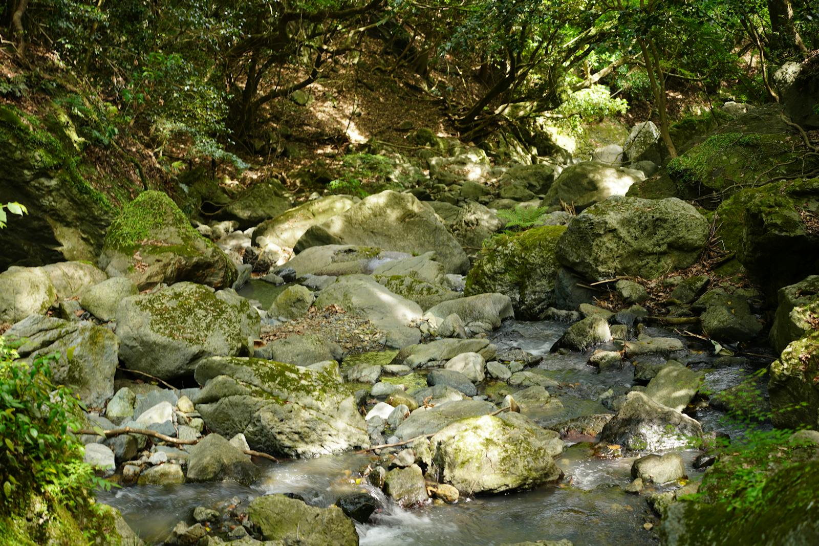 calm nature scene