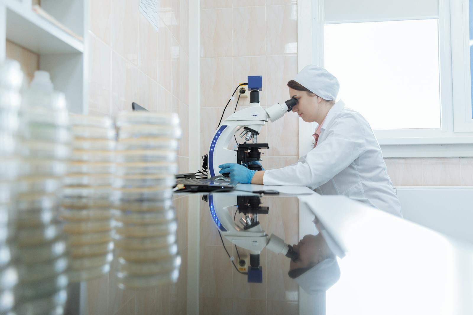 cloning laboratory biotech