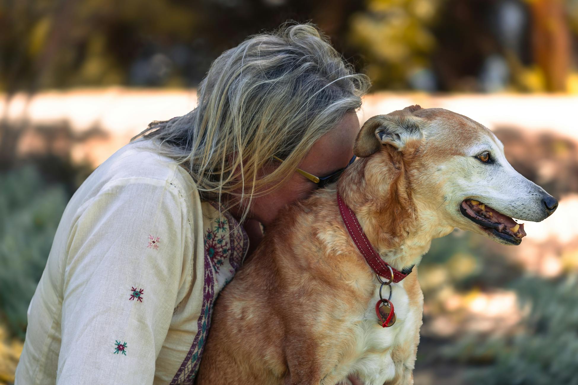 The grief people feel when a dog dies is often heavier than they expected because the dog witnessed years of their private self that no human in their life ever saw