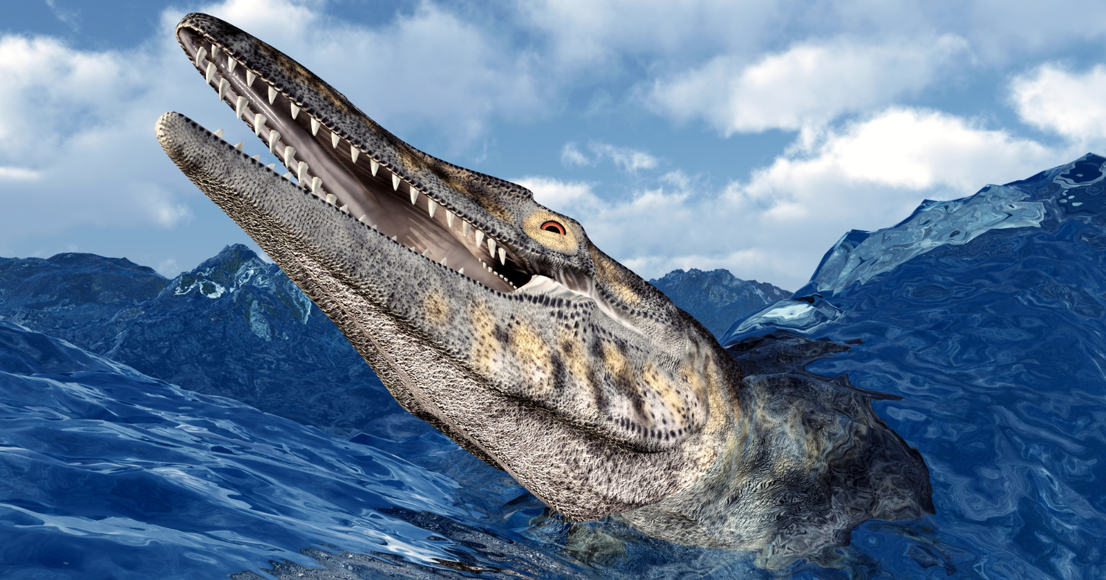 A mosasaur called Tylosaurus grew to more than 13 metres in the Late Cretaceous seas, roughly twice the length of a great white shark, with a second set of teeth on the roof of its mouth that drove prey one-way down its throat