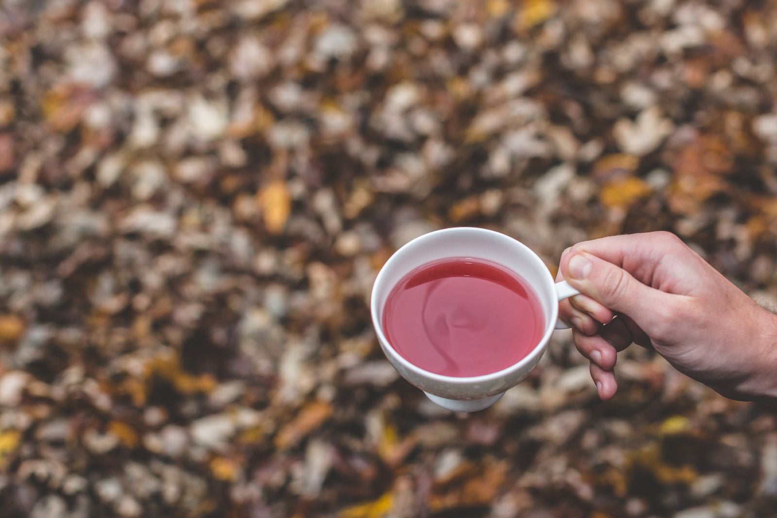 hands holding tea
