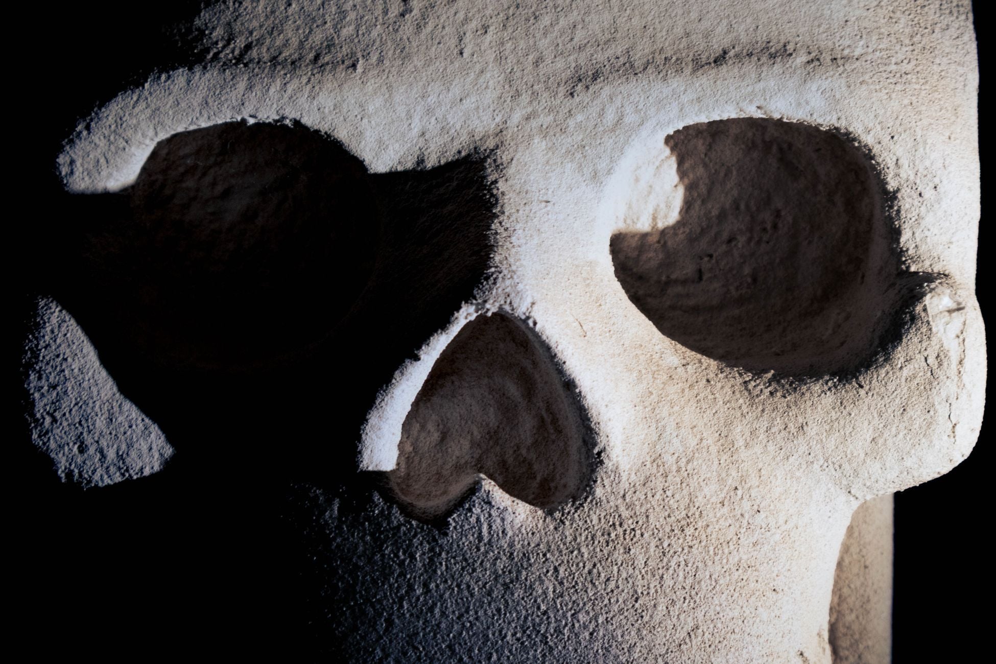 Detailed view of a sculptural skull with dramatic shadows and textures.