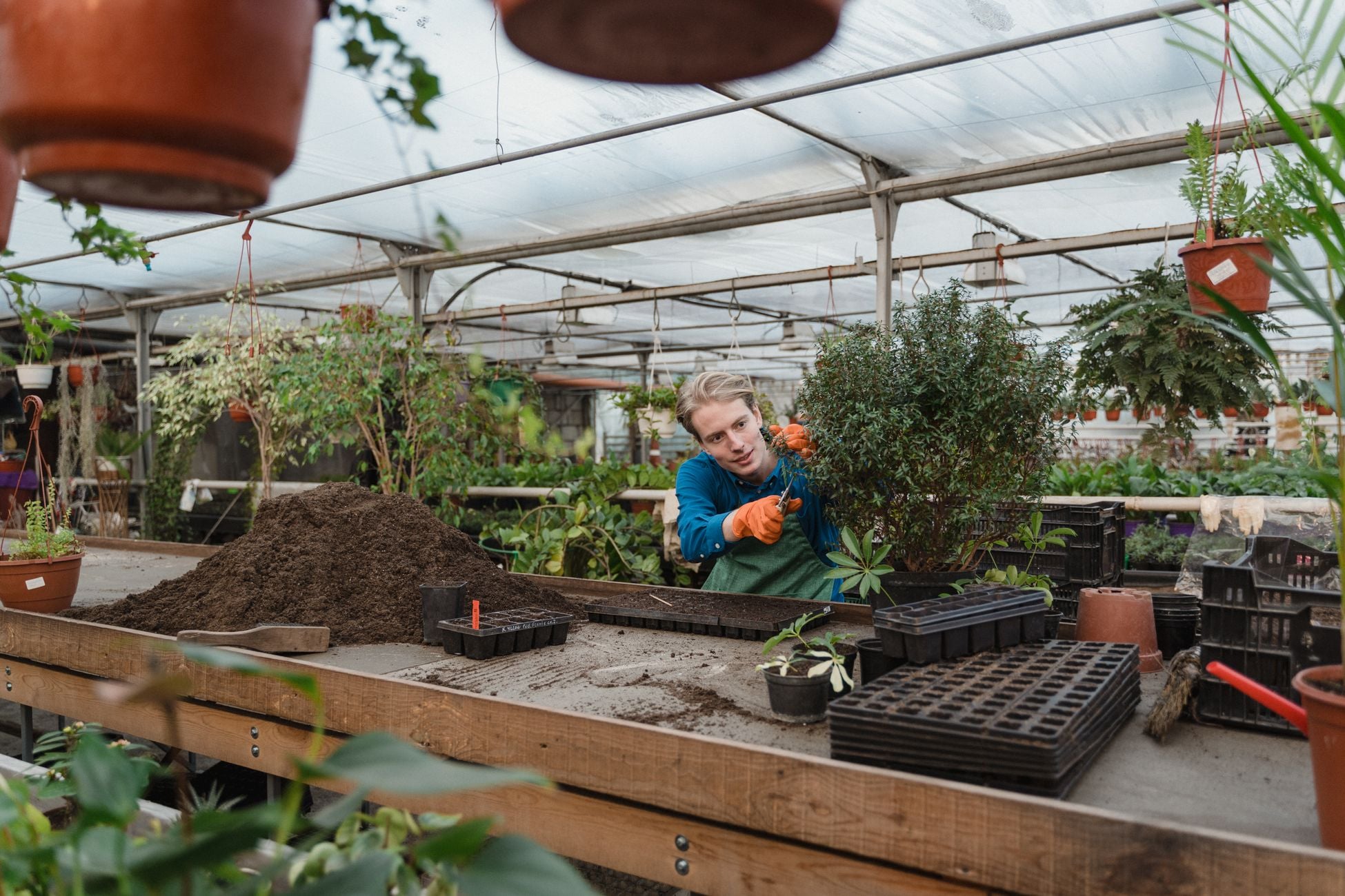 Elon Musk's original 2001 plan for Mars wasn't a colony — it was a tiny greenhouse called Mars Oasis, meant to grow plants and reignite public interest in space