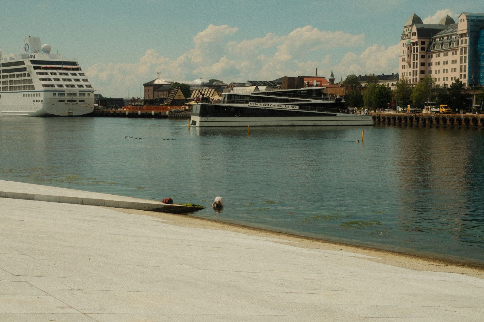 Oslo waterfront fjord