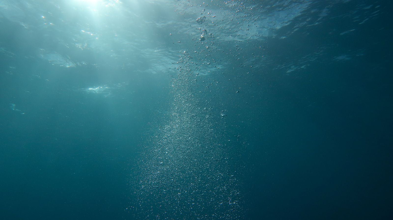 How does a bundle of glass fibres thinner than a garden hose, lying on the ocean floor under four kilometres of water, carry more than 95 percent of all intercontinental internet traffic?