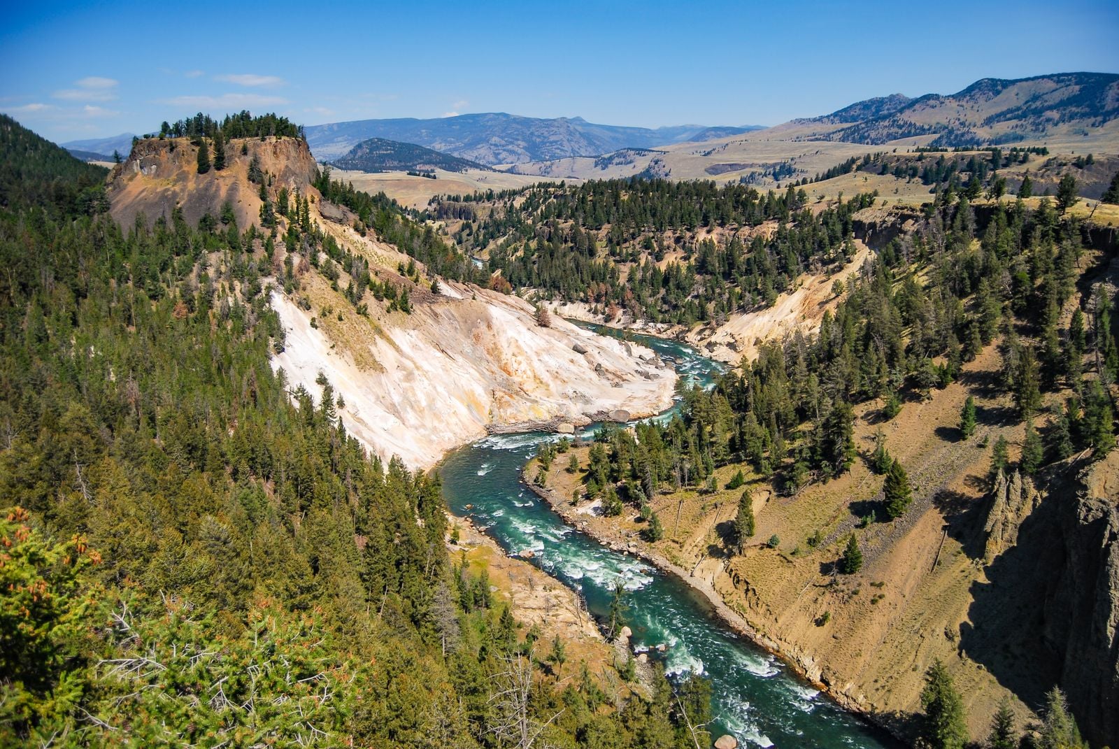 In 1926, the U.S. government killed Yellowstone's last wolf pack — and spent the next 69 years watching the park quietly fall apart